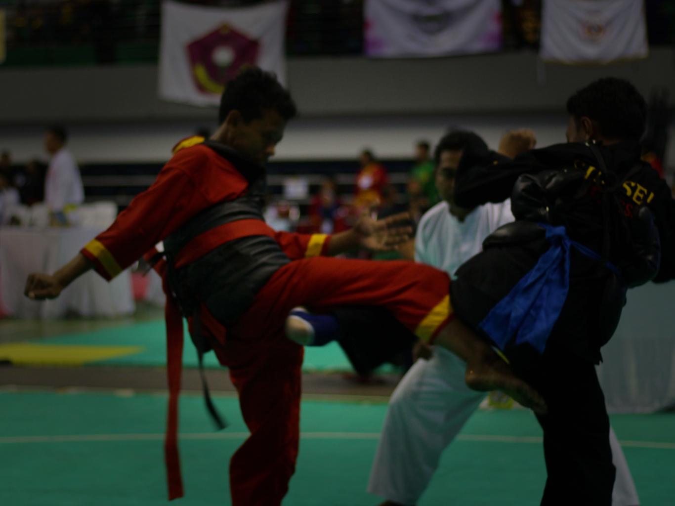 event TANGERANG SELATAN PENCAK SILAT CHAMPIONSHIP (TAPCHA) KE - 6 TAHUN 2024